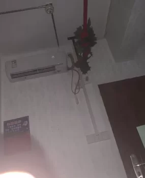 三水92试水